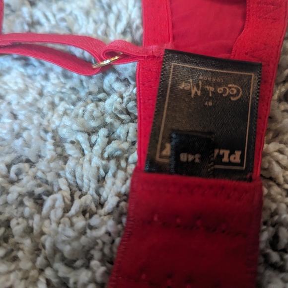 Coco de mer bra - Picture 3 of 5